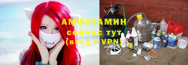 ECSTASY Пересвет