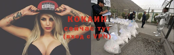 каннабис Беломорск