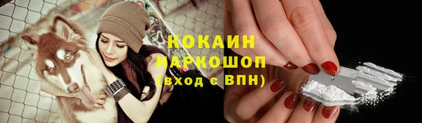 каннабис Беломорск