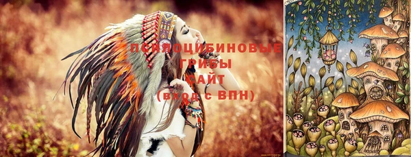 мескалин Переславль-Залесский
