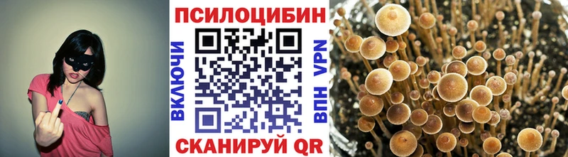 hydra зеркало  Оха  Псилоцибиновые грибы ЛСД 